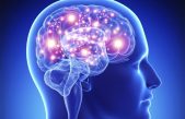 Ya puedes hacer una copia de tu cerebro para recuperarlo luego, pero…