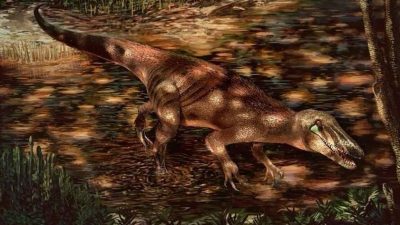 Hallan en Neuquén un dinosaurio con garras que vivió hace 85 millones de años