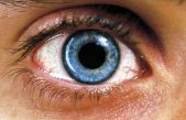 Las personas con ojos azules comparten un mismo ancestro que se encuentra en España