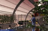 El CSIC desvela los efectos de la gravedad de Marte en el crecimiento de las plantas