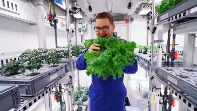 Logran en la Antártida producir vegetales sin tierra, luz solar ni pesticidas