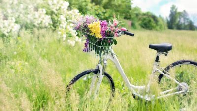 Día Mundial de la Bicicleta