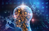 El cerebro nunca para de crecer
