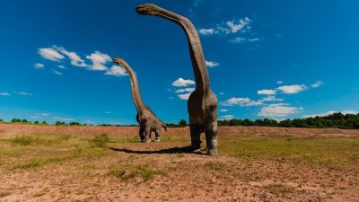 Hallan en Escocia los restos de dinosaurios más grandes del mundo