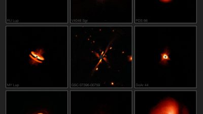 SPHERE revela una fascinante colección de discos alrededor de estrellas jóvenes