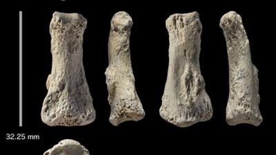Hallado en Arabia Saudí el fósil de ‘Homo sapiens’ más antiguo de Asia