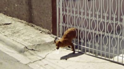 Las cosas más raras y graciosas registradas por Google Street View