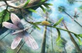 Los colores de una mariposa de hace 200 millones de años
