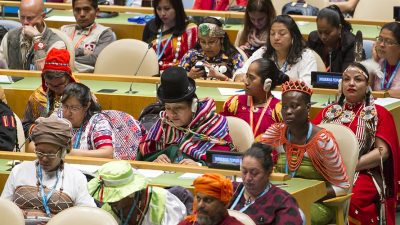 Día Mundial de la Diversidad Cultural para el Diálogo y el Desarrollo