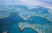 La Gran Barrera de Coral ha sobrevivido a cinco cambios ambientales drásticos