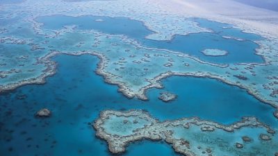 La Gran Barrera de Coral ha sobrevivido a cinco cambios ambientales drásticos