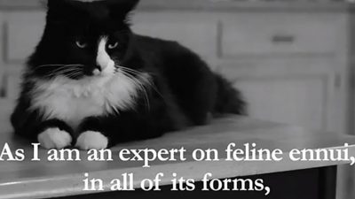 Henri, el gato existencialista francés, dice au revoir y abandona la filosofía