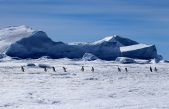 Hallan enormes cañones ‘escondidos’ en la Antártida (y puede ser una mala noticia para el planeta)