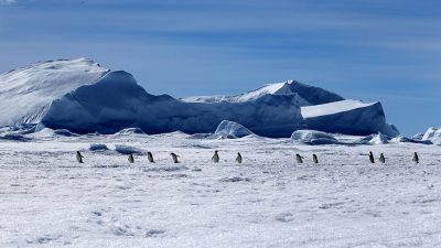 Hallan enormes cañones ‘escondidos’ en la Antártida (y puede ser una mala noticia para el planeta)