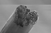 Fabrican el biomaterial más fuerte del mundo