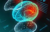 Descubren cómo implantar imágenes holográficas en el cerebro