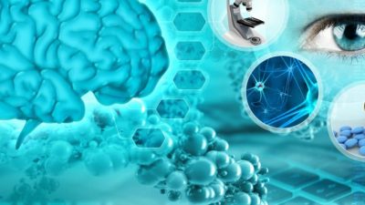 ¿Qué es la neurociencia?