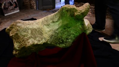 Descubren un perezoso gigante de 700 mil años de antigüedad en San Pedro