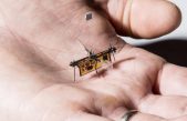 RoboFly, el primer insecto robótico volador inalámbrico