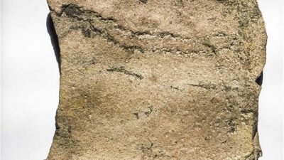 Descubren conjuntos de huellas fósiles más antiguos en China