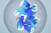 Red neural artificial de ADN capaz de reconocer números