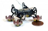 Robot cucaracha anfibio
