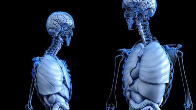 Científicos rusos crearán articulaciones por medio de impresoras 3D