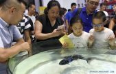 El poder de los robots está en plena exhibición en Beijing