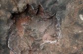 Descubren huellas de dinosaurios de periodo Jurásico inferior en suroeste de China