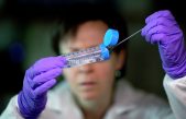 Científicos de Crimea utilizan microbios para convertir municiones caducadas en abono