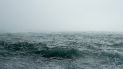 Revelan el secreto del espeluznante habitante del triángulo de las Bermudas