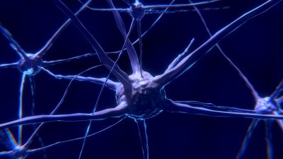 Las ondas cerebrales son determinantes en los procesos cognitivos