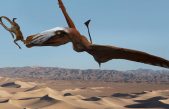Presentan una nueva bestia prehistórica: Un pterosaurio gigante