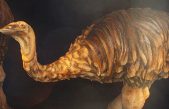 ¿Quién exterminó al ave más gigantesca de todos los tiempos?