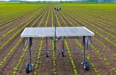 EcoRobotix, el robot agrícola autónomo y ecológico