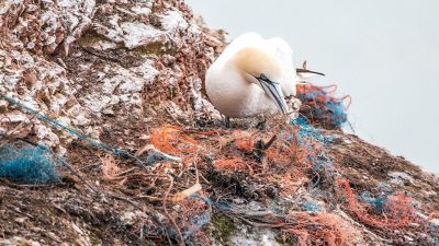 Ocean Cleanup: cómo limpiar el océano de plástico de una vez por todas