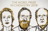 Nobel para los químicos que domaron la evolución