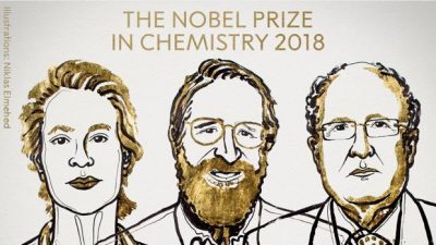 Nobel para los químicos que domaron la evolución