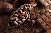 Descubren el auténtico origen del chocolate, el placer de los dioses