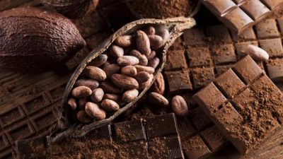 Descubren el auténtico origen del chocolate, el placer de los dioses