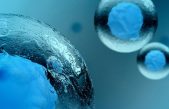 Logran eliminar el VIH con un trasplante de células madre