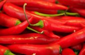 Capsaicina, la molécula picante contra la obesidad