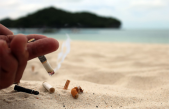 ¡Envenenan los océanos! El grave impacto de las colillas de cigarro en la vida silvestre