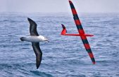 Drones entrenándose para planear como pájaros