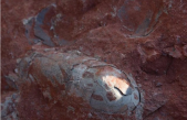 Sorpresa en China: creyeron que eran piedras ovaladas, pero era un nido de huevos de dinosaurio