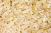 China cosecha con éxito arroz de agua salada que podría alimentar a 80 millones de personas