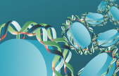 El origen de la “misteriosa” periodicidad en el genoma