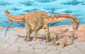 Científicos descubren una nueva especie de dinosaurio de 110 millones de años en Argentina.