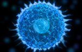 Descubren una bacteria capaz de modificar la atmósfera