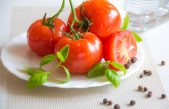 ¿Por qué los tomates son repelidos por los imanes?